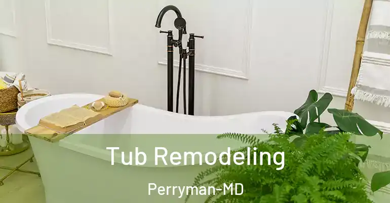 inner Bathroom imggen Tub Remodeling Perryman-MD