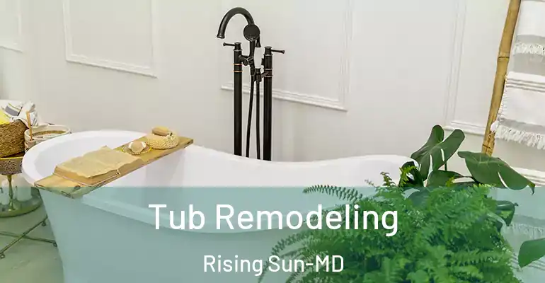 inner Bathroom imggen Tub Remodeling Rising Sun-MD