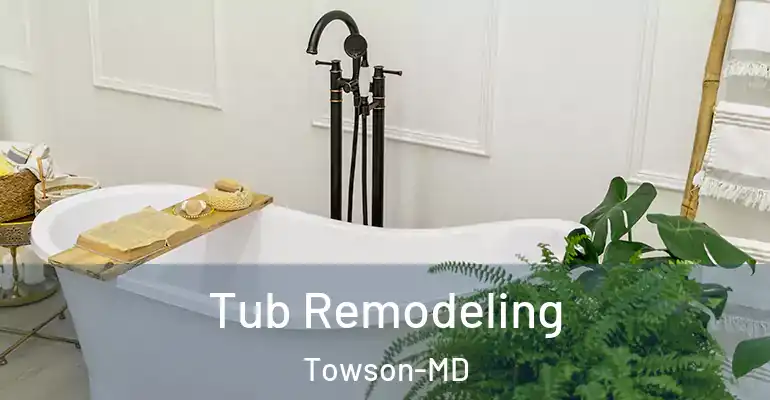 inner Bathroom imggen Tub Remodeling Towson-MD
