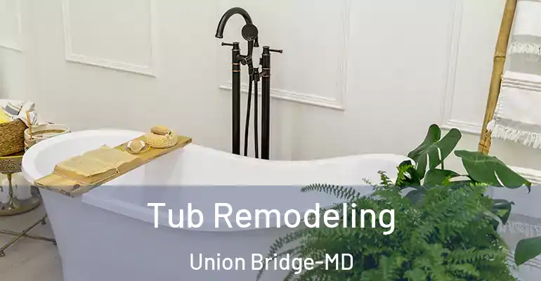 inner Bathroom imggen Tub Remodeling Union Bridge-MD