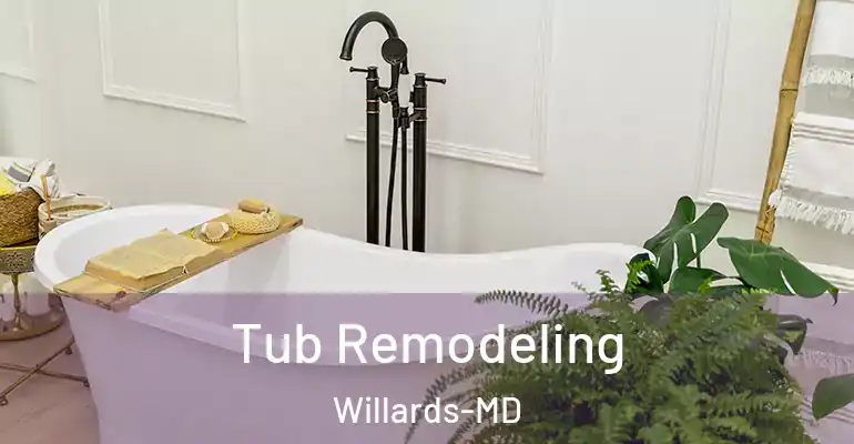 inner Bathroom imggen Tub Remodeling Willards-MD