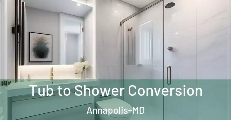 inner Bathroom imggen Tub to Shower Conversion Annapolis-MD