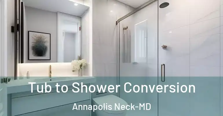 inner Bathroom imggen Tub to Shower Conversion Annapolis Neck-MD