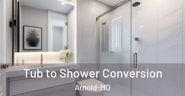 inner Bathroom imggen Tub to Shower Conversion Arnold-MD