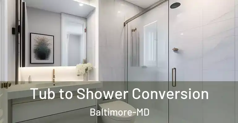 inner Bathroom imggen Tub to Shower Conversion Baltimore-MD