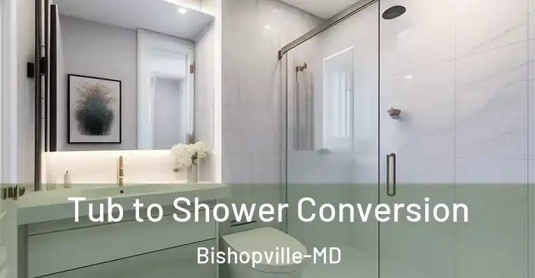 inner Bathroom imggen Tub to Shower Conversion Bishopville-MD