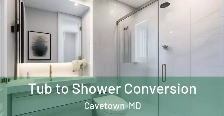 inner Bathroom imggen Tub to Shower Conversion Cavetown-MD