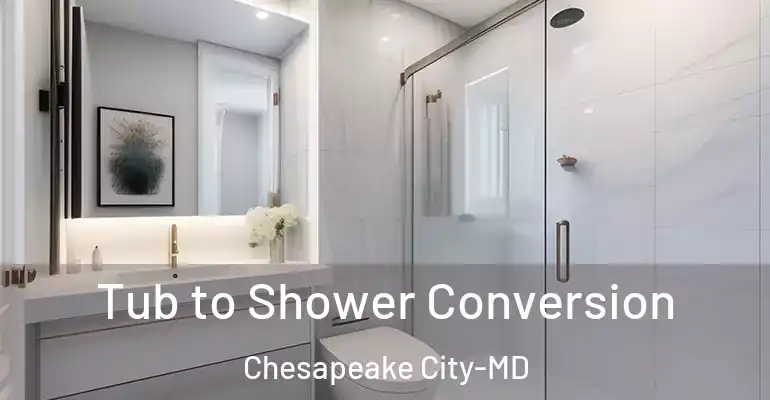 inner Bathroom imggen Tub to Shower Conversion Chesapeake City-MD