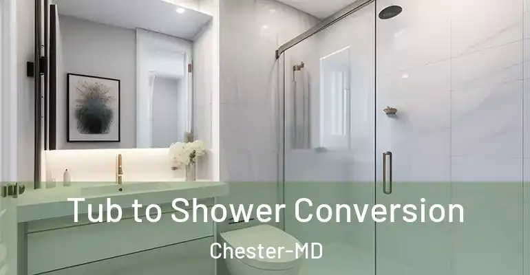 inner Bathroom imggen Tub to Shower Conversion Chester-MD