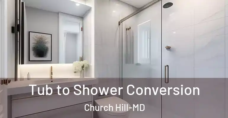 inner Bathroom imggen Tub to Shower Conversion Church Hill-MD