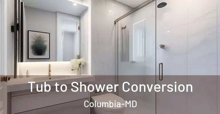 inner Bathroom imggen Tub to Shower Conversion Columbia-MD