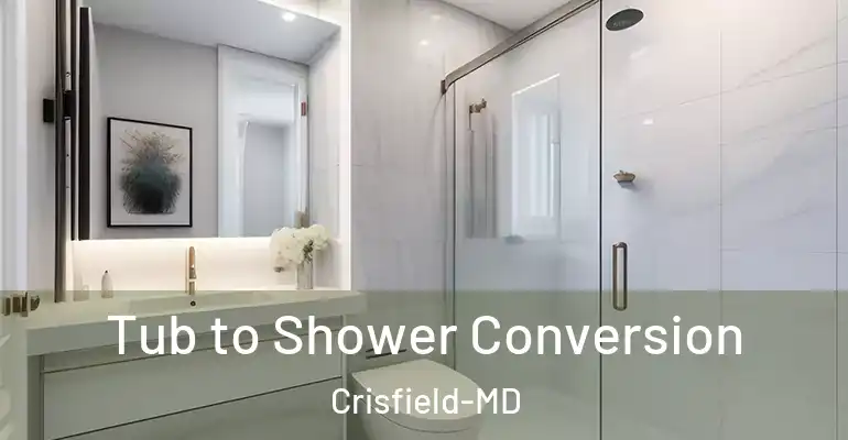 inner Bathroom imggen Tub to Shower Conversion Crisfield-MD