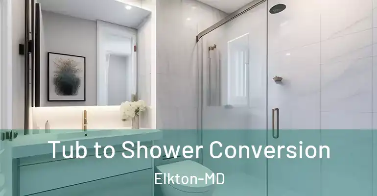 inner Bathroom imggen Tub to Shower Conversion Elkton-MD