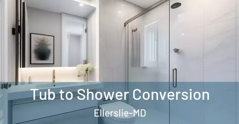 inner Bathroom imggen Tub to Shower Conversion Ellerslie-MD