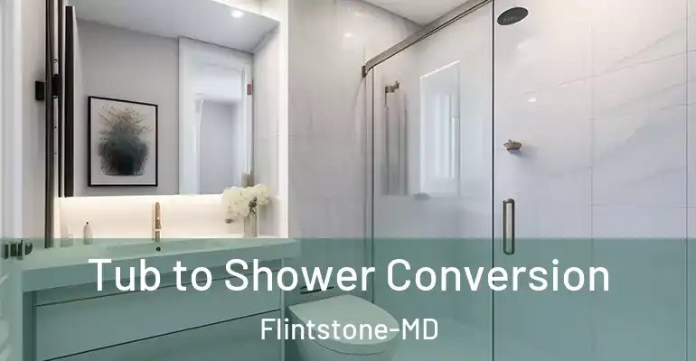 inner Bathroom imggen Tub to Shower Conversion Flintstone-MD
