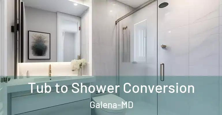 inner Bathroom imggen Tub to Shower Conversion Galena-MD