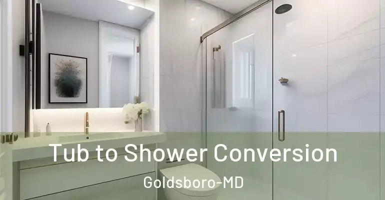 inner Bathroom imggen Tub to Shower Conversion Goldsboro-MD