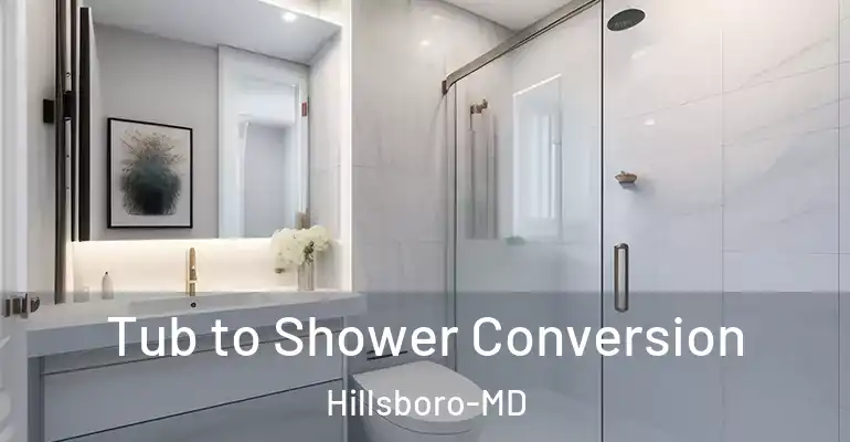inner Bathroom imggen Tub to Shower Conversion Hillsboro-MD