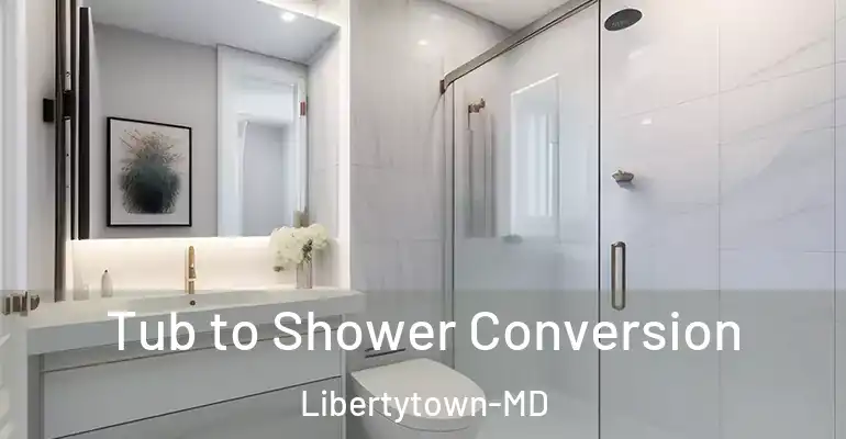 inner Bathroom imggen Tub to Shower Conversion Libertytown-MD