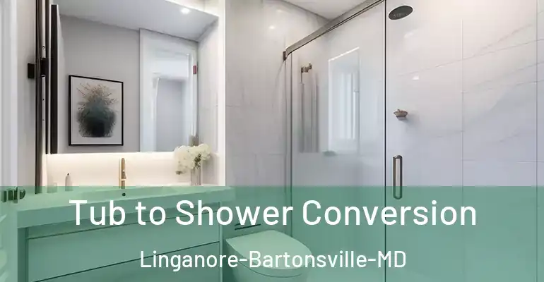 inner Bathroom imggen Tub to Shower Conversion Linganore-Bartonsville-MD
