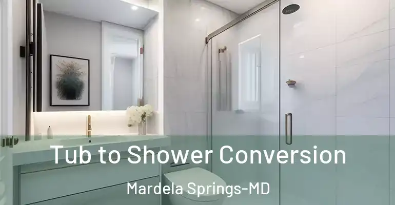 inner Bathroom imggen Tub to Shower Conversion Mardela Springs-MD