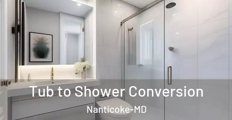 inner Bathroom imggen Tub to Shower Conversion Nanticoke-MD