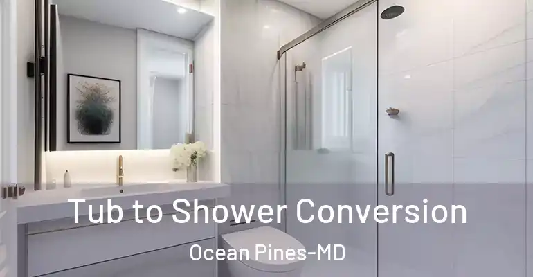 inner Bathroom imggen Tub to Shower Conversion Ocean Pines-MD