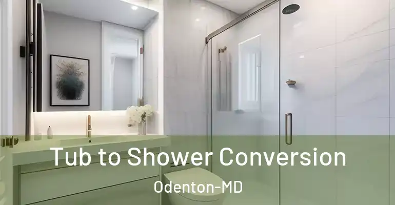 inner Bathroom imggen Tub to Shower Conversion Odenton-MD
