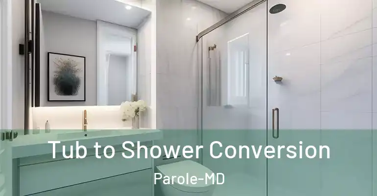 inner Bathroom imggen Tub to Shower Conversion Parole-MD