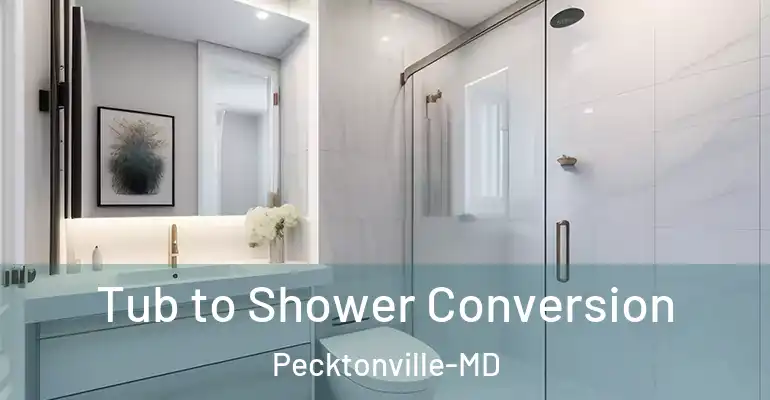inner Bathroom imggen Tub to Shower Conversion Pecktonville-MD