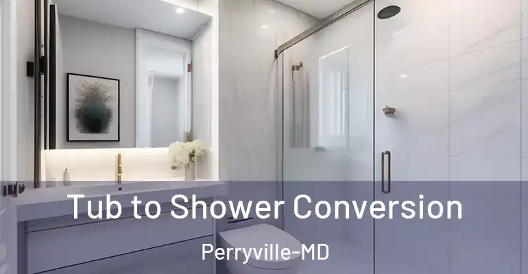 inner Bathroom imggen Tub to Shower Conversion Perryville-MD
