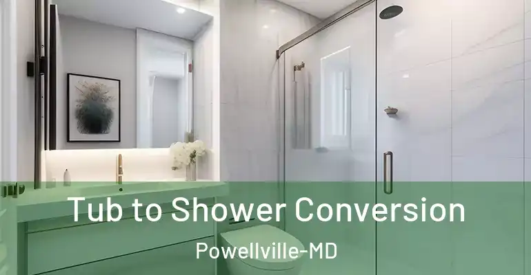 inner Bathroom imggen Tub to Shower Conversion Powellville-MD
