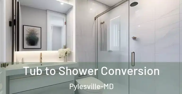 inner Bathroom imggen Tub to Shower Conversion Pylesville-MD