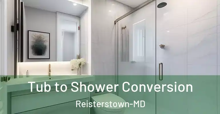 inner Bathroom imggen Tub to Shower Conversion Reisterstown-MD