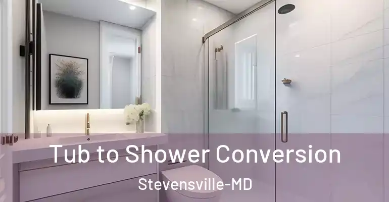 inner Bathroom imggen Tub to Shower Conversion Stevensville-MD