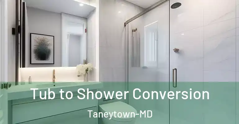 inner Bathroom imggen Tub to Shower Conversion Taneytown-MD