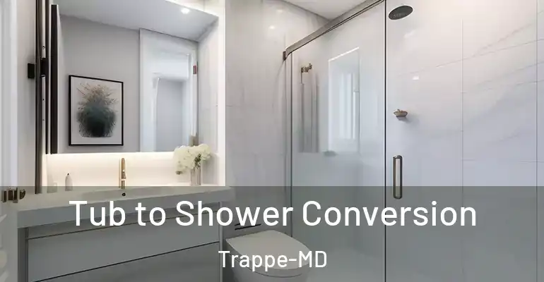 inner Bathroom imggen Tub to Shower Conversion Trappe-MD