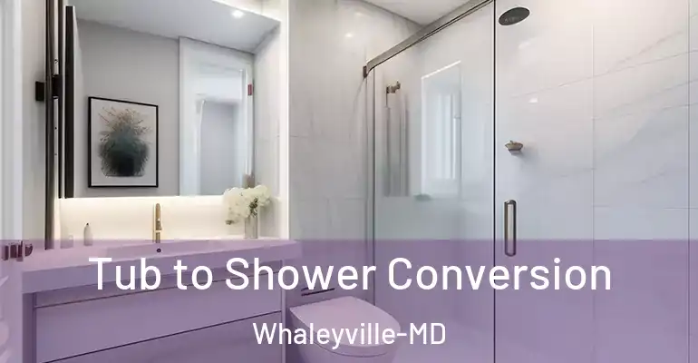 inner Bathroom imggen Tub to Shower Conversion Whaleyville-MD