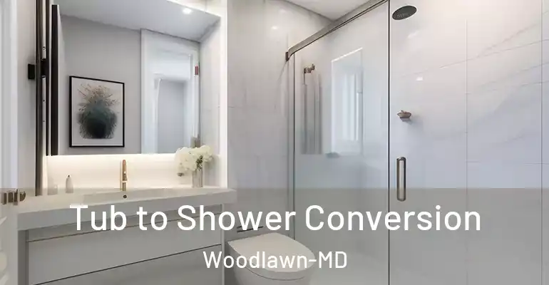 inner Bathroom imggen Tub to Shower Conversion Woodlawn-MD