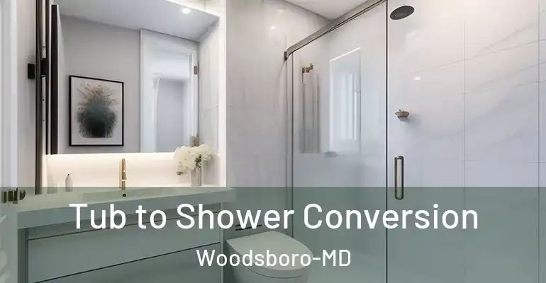 inner Bathroom imggen Tub to Shower Conversion Woodsboro-MD