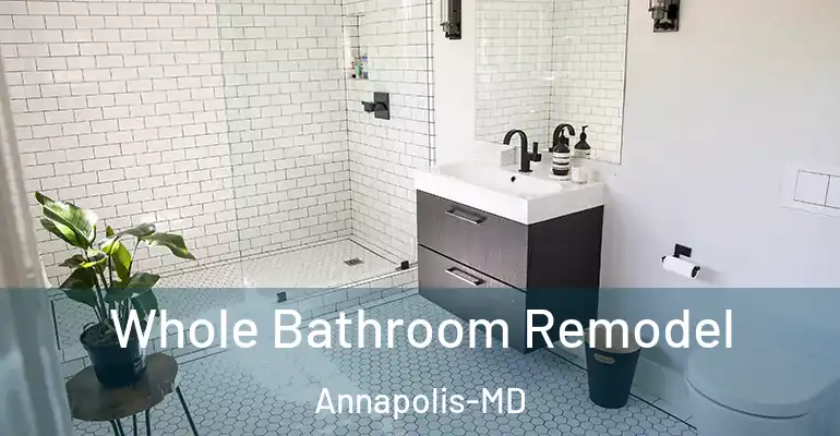 inner Bathroom imggen Whole Bathroom Remodel Annapolis-MD