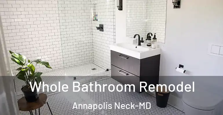 inner Bathroom imggen Whole Bathroom Remodel Annapolis Neck-MD