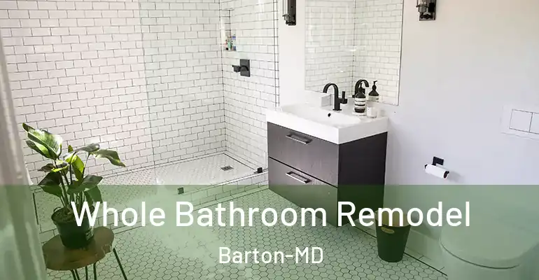 inner Bathroom imggen Whole Bathroom Remodel Barton-MD