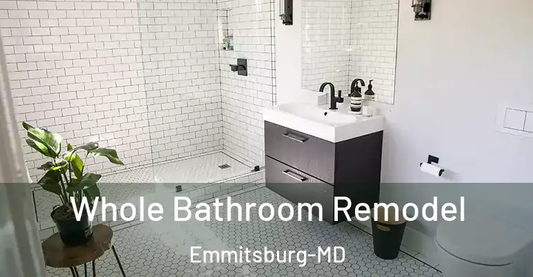 inner Bathroom imggen Whole Bathroom Remodel Emmitsburg-MD