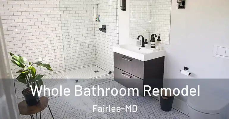 inner Bathroom imggen Whole Bathroom Remodel Fairlee-MD