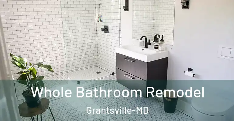 inner Bathroom imggen Whole Bathroom Remodel Grantsville-MD