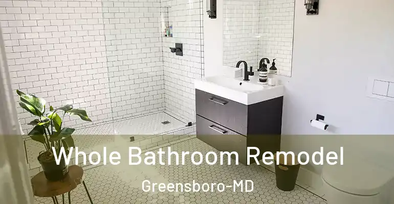 inner Bathroom imggen Whole Bathroom Remodel Greensboro-MD
