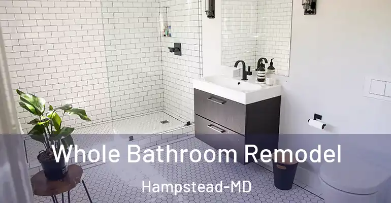 inner Bathroom imggen Whole Bathroom Remodel Hampstead-MD