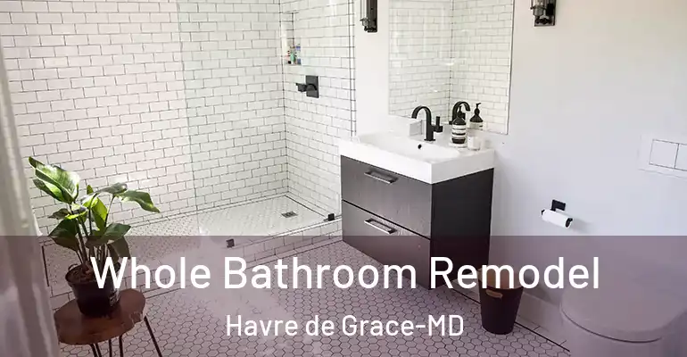 inner Bathroom imggen Whole Bathroom Remodel Havre de Grace-MD