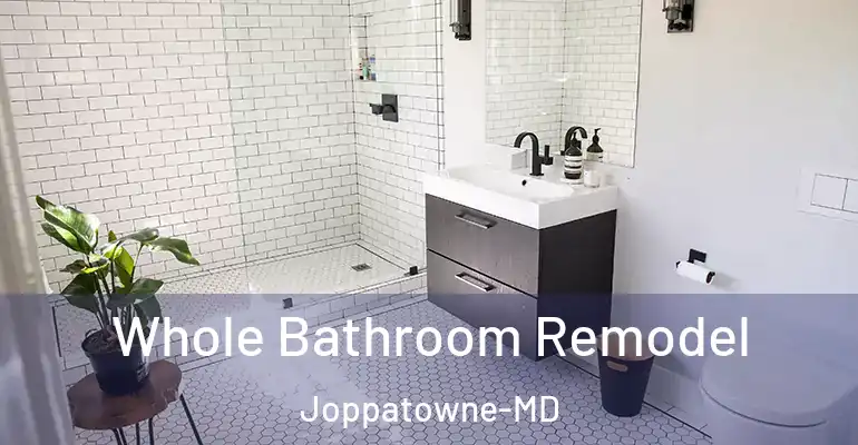 inner Bathroom imggen Whole Bathroom Remodel Joppatowne-MD